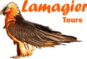 LamagierTours's profile picture. lamagier tours is a travel and tours company located in Nairobi Kenya. we offer safaris across East Africa.