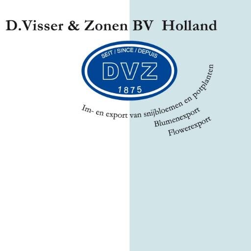 bloemenexportbedrijf-flowerexport-blumengrosshandel