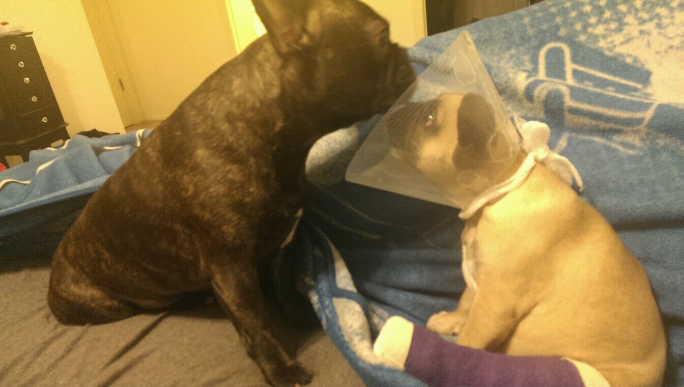 tomwebster1984's profile picture. 