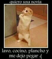 PiqueroEmilio's profile picture. 