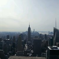 Franny McG (@tedchampagne) Twitter profile photo