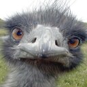 AVG (@001Avg) Twitter