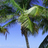 traveltipguide's profile image