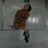 hengky_ARP's profile image