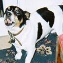 Malcolm Jordan - @malserj - Twitter