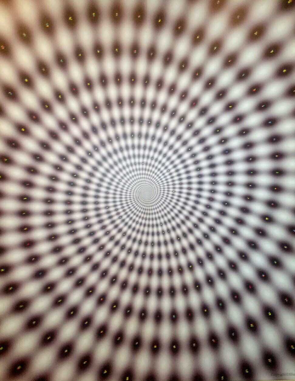 peltier_scott's profile picture. 34....happy and inspired.....5'8...hazel eyes...strawberry blonde hair