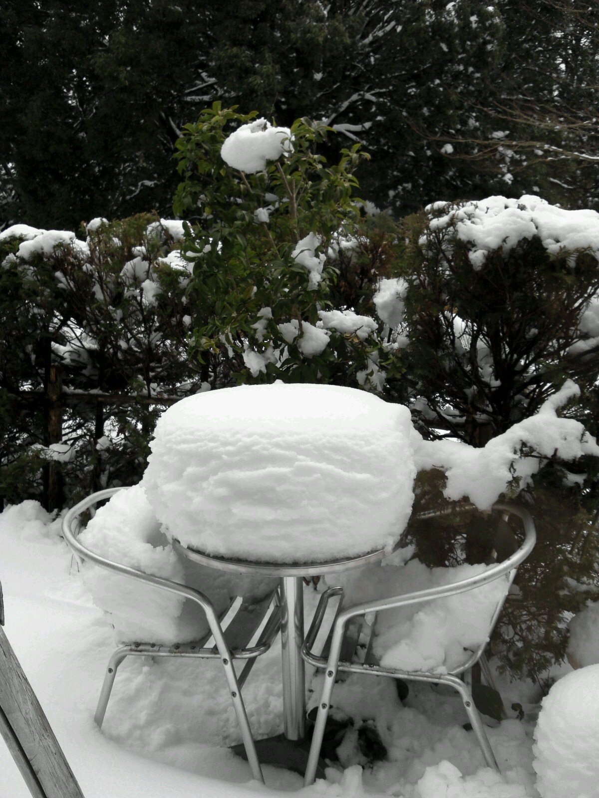 6K_HI's profile picture. 