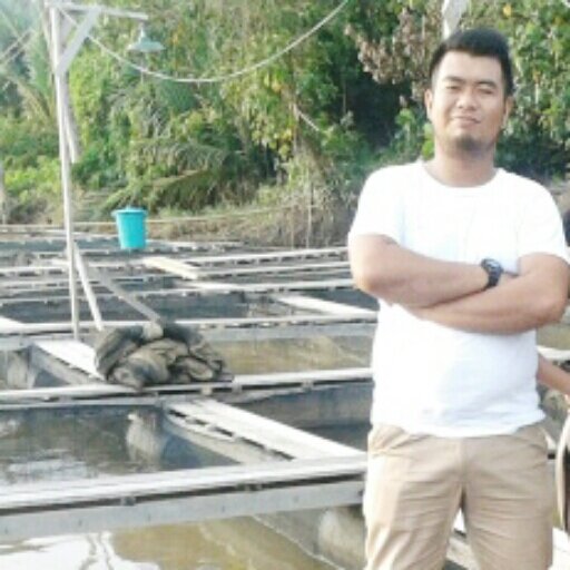 Mengejar impian
