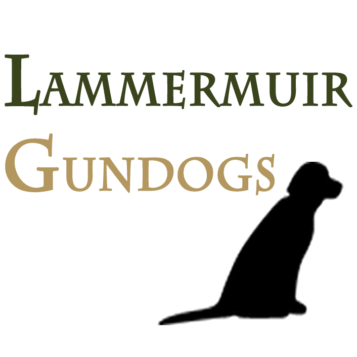 Lammermuir Gundogs
