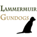 Lammermuir Gundogs (@scotlandgundogs) Twitter profile photo