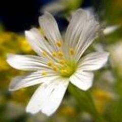 EsperanzaMillia's profile picture. 