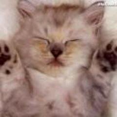 Eugeny3's profile picture. Катание на коньках, Туризм в зоне отчуждения Чернобыльской АЭС, Инженер-гидравлик, Каллиграфия