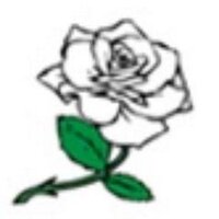 Greetland CC (@greetlandcc) 's Twitter Profile