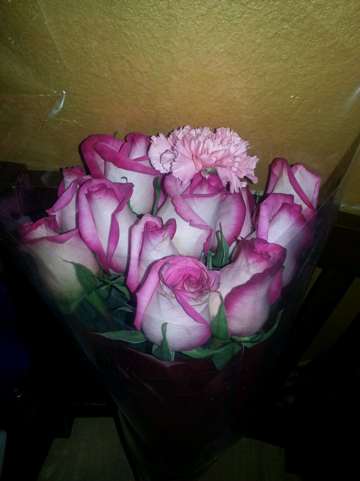 anndolyn's profile picture.