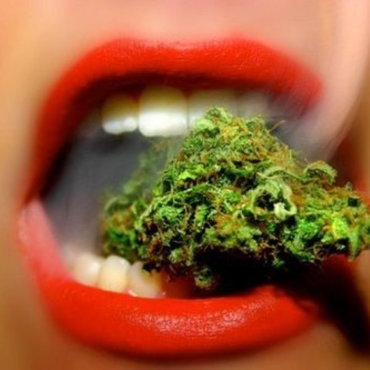 she said i just wanna smoke and fuck and i said girl that's all we do