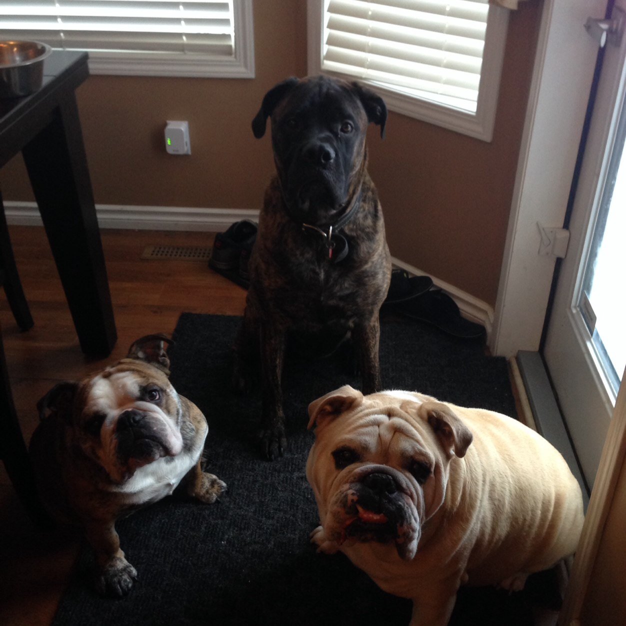 BoonBooner's profile picture. Happy wife & mommy. Missing our first always.