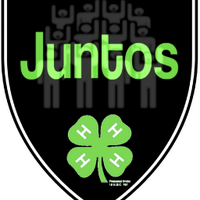 Juntos NC (@juntosnc) 's Twitter Profile