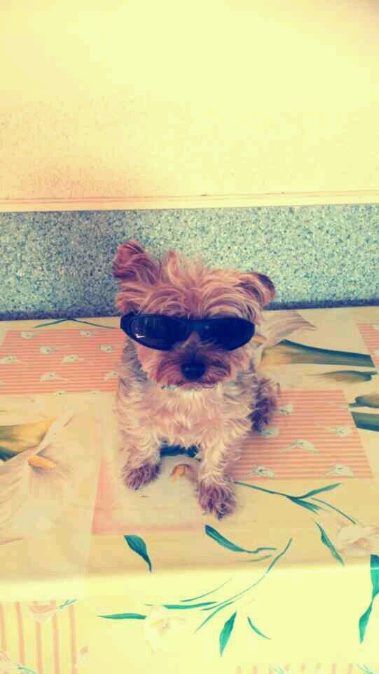 MoisesFabian's profile picture. 