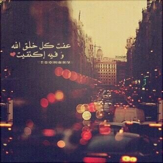 qwqw109947's profile picture. 