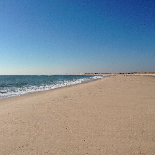 joeymorrissey's profile picture. 