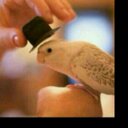 ماجد (@0502713126Majed) Twitter