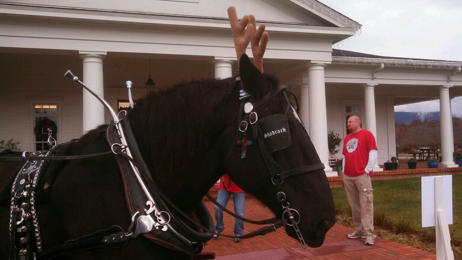 annseymour1964's profile picture. 