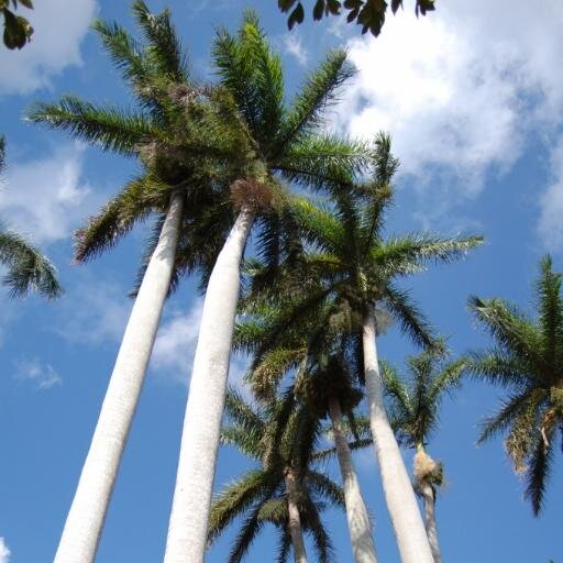 lmastrapa's profile picture. 