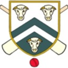 BromyardCC's profile picture. Bromyard CC is one of Herefordshire’s leading cricket clubs & runs 5 senior sides (3 in the Worcestershire League, 1 Sunday, 1 Midweek) & 4 junior age groups.