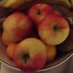 SeedCrop (@seedcrop) Twitter profile photo