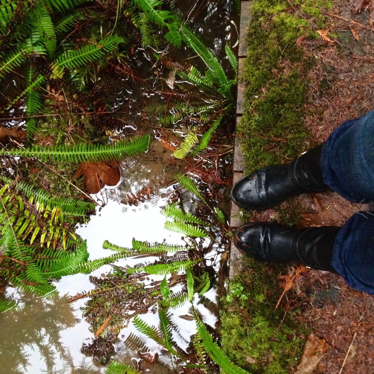 BadMoodBitch's profile picture. 