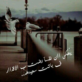 لا أريد منكم غير أن تدعو ﻷخي بالهداية