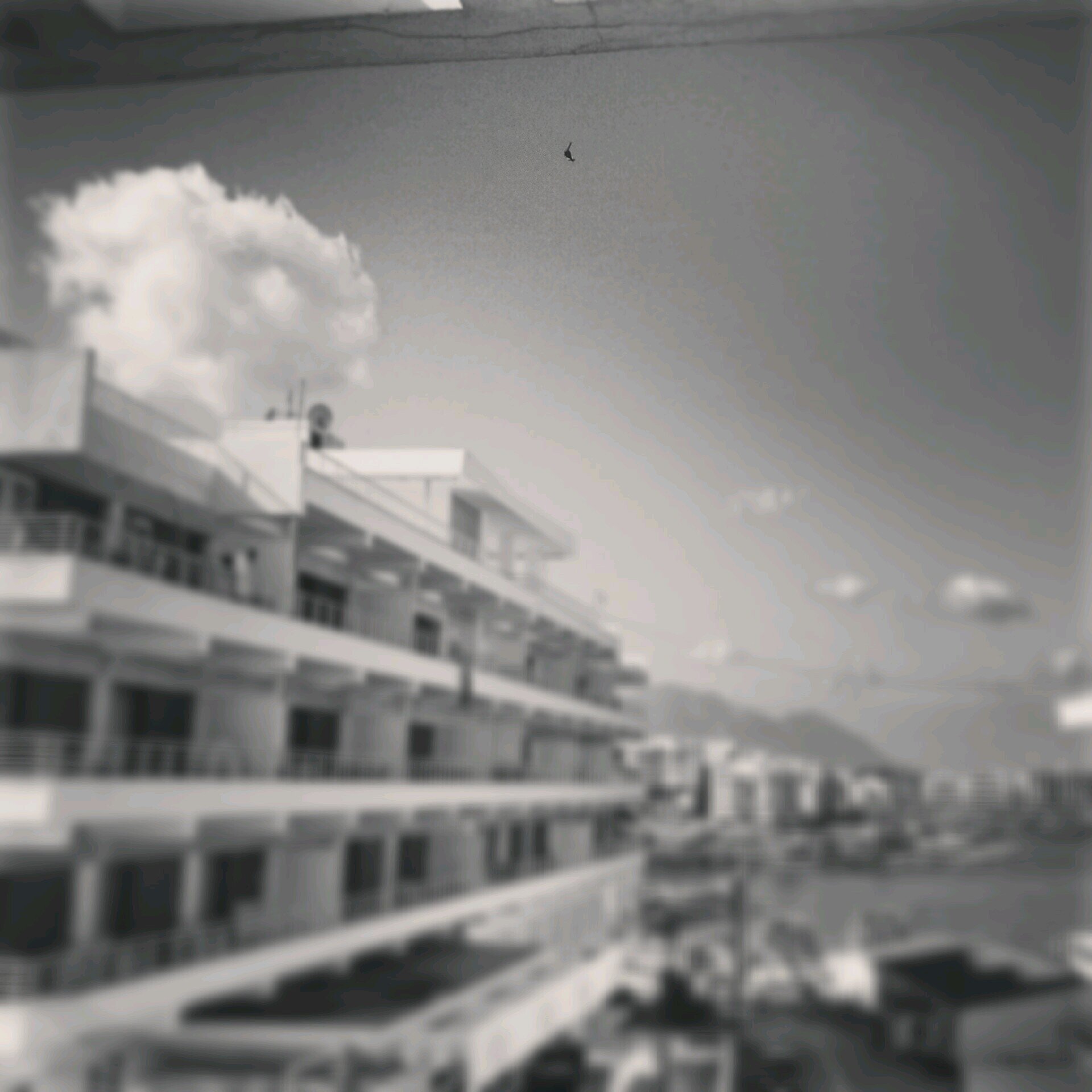 HOOKERobertt's profile picture. fenerebahceee