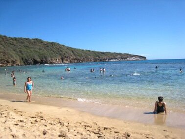 ztmsdishen's profile picture. 