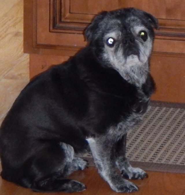 JanetSunny2000's profile picture. It's All About Family, Friends & Our Critters!!!