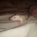 Maribel Barron - @567jCaclcaneo - Twitter