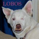 Nancy Bennett - @ranchstone - Twitter