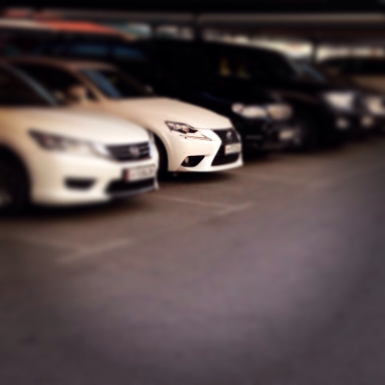 14 year old freashman car addict
Future: some job related with cars
Hopes the best expect the worst