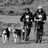 pasapasmushing's profile image