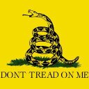 American_Warrior (@5cgdxtgz4540) Twitter