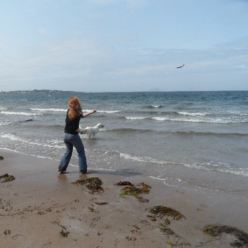 Wife, mummy, daughter, sister, Occupational Therapist, dog lover, Ross County supporter, gym goer and munro bagger.