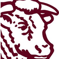 Poyntons Butchers (@poyntonsbutcher) Twitter profile photo
