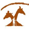 KWCAKenya's profile picture. Kenya Wildlife Conservancies Association (KWCA) is a landowner-led national membership organization representing community and private conservancies in Kenya