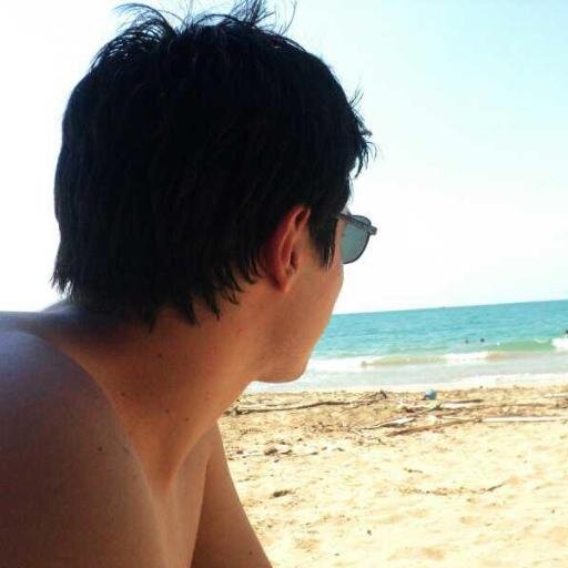 Costa Rican(Tico), software engineer, love to travel and new experiences
