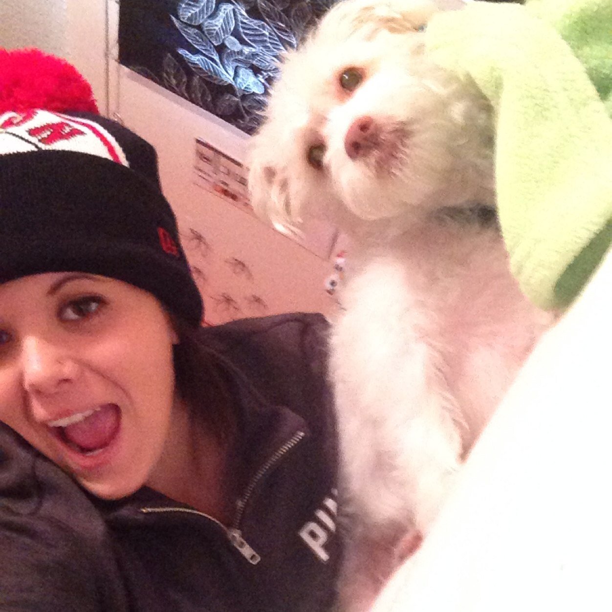 kmoga_moga's profile picture. 