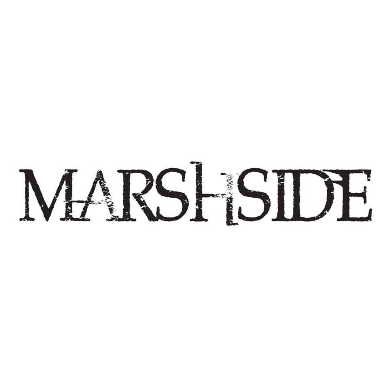 Marshsideband's profile picture. Indie covers band. We play songs that most bands want to play.