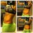 mpfitbody's profile image