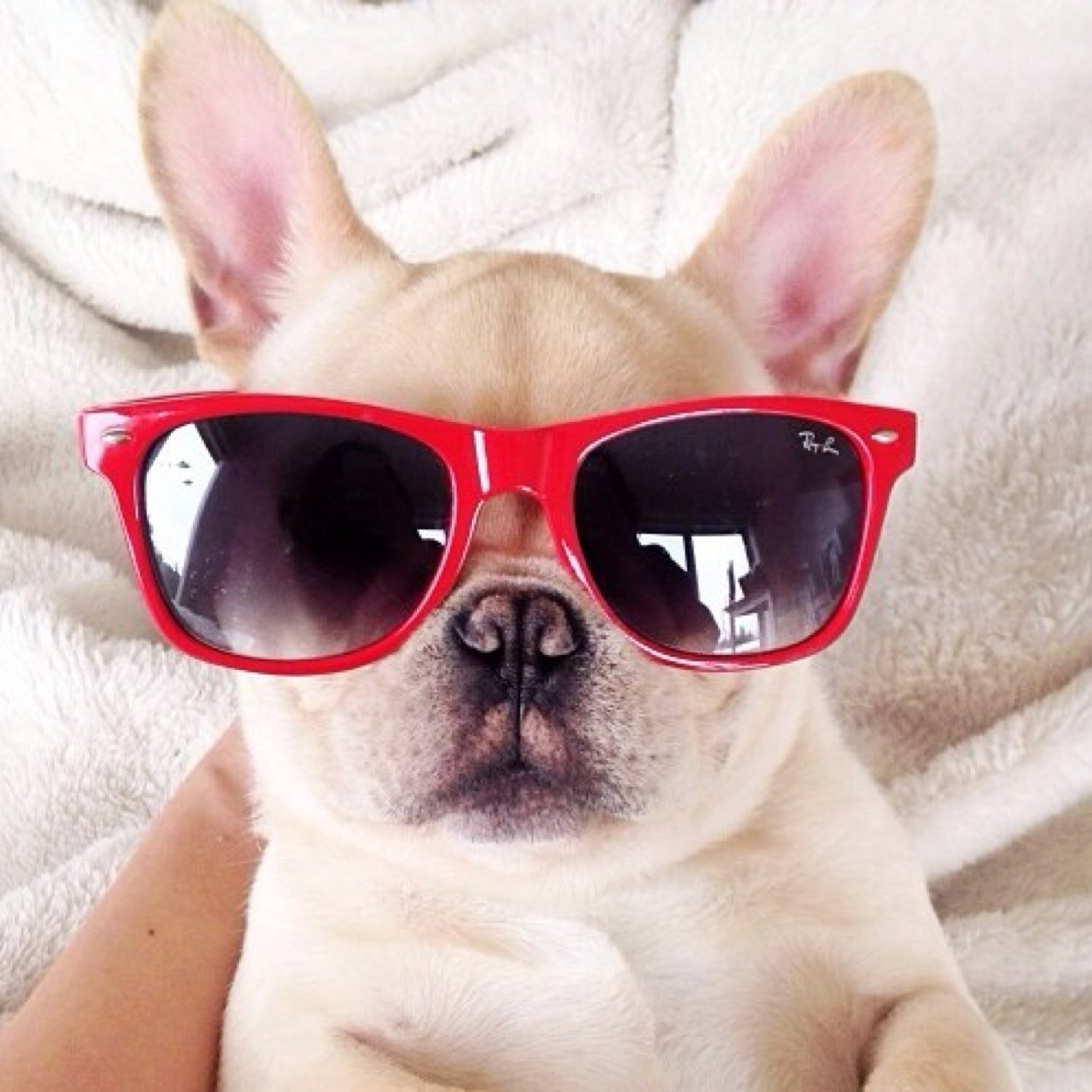 TobyJorris's profile picture. IM ON FIIIIRRREEEEEE