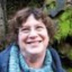 Teacher Librarian, mom, cabin builder, abstract artist, gardener, Kabbalist.