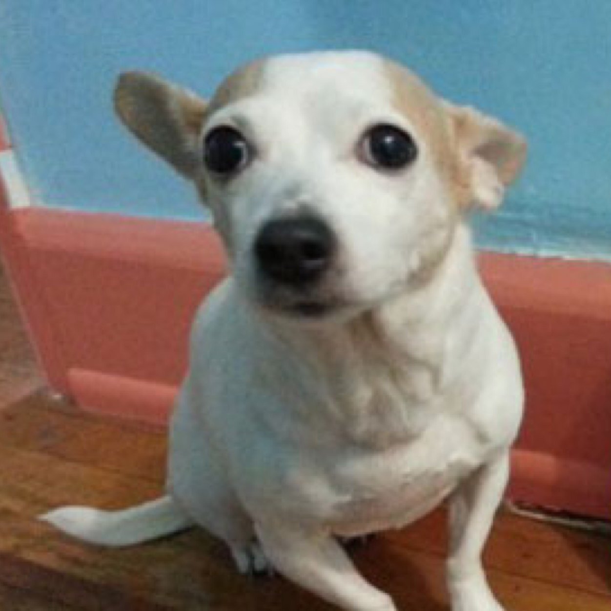 robgibson80's profile picture. 