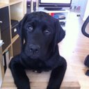 helle jensen - @helleambrosius - Twitter